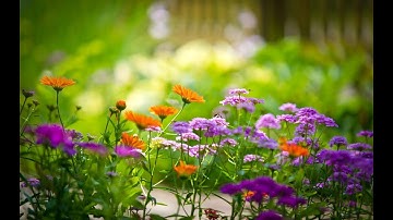 تلاوة تهتز لها القلوب؛ تلاوة هادئة وسكينة ربانية لا تُكرر ؛أجمل صوت قران فى الدنيا مؤثر جدا