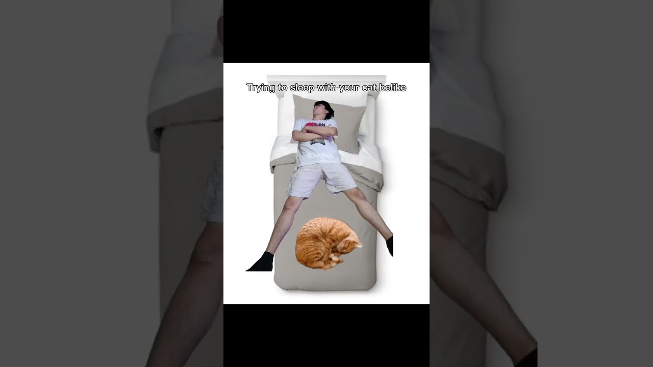 sleeping with cats (009) 