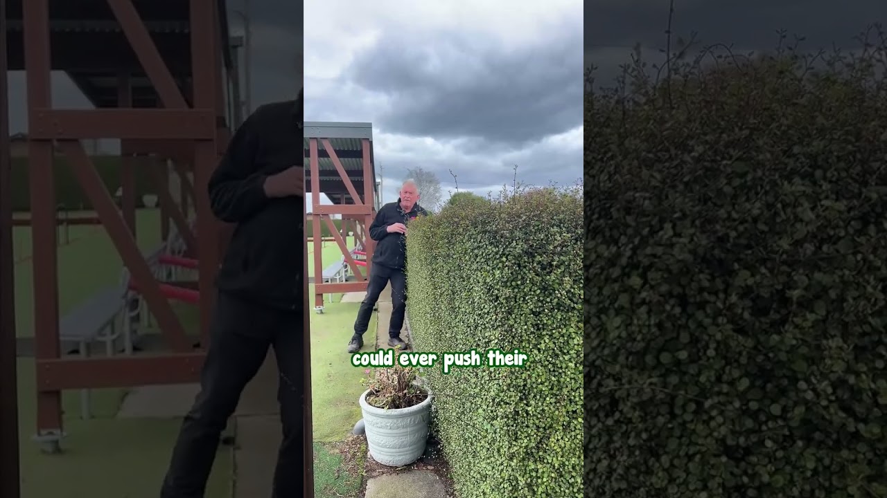 We’ve Found the Best Hedge - Muehlenbeckia.