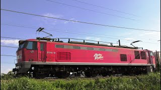 レッドサンダ-EF510-13牽引高速貨物3097レ【4K】信越本線下り
