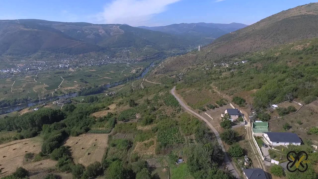 Mones desde el cielo