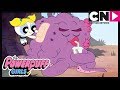 Powerpuff Girls | Will The Powerpuff Girls Win The Game Show? | Aliver | Cartoon Network