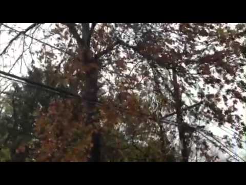 Eemov Nano Stabilizer Arm Review 5 EEMOV NANO Smartphone Stabilizer Demo