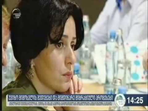 შეხვედრა მიგრაციის საკითხებზე_იმედი ტვ