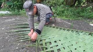 Preparing chicken nest for chicks