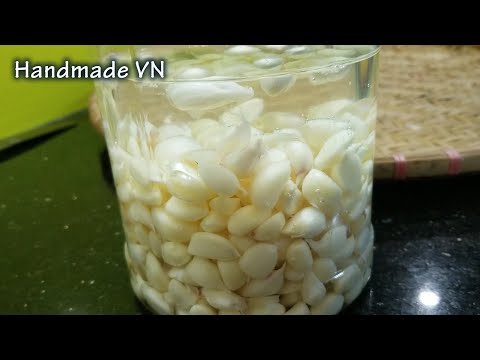 Video Cách làm TỎI MẦM NGÂM GIẤM đẩy lùi CẢM CÚM phòng chống... - youtube