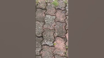 Gạch Con Sâu, Dùng Cỡ Này Vẫn Chưa Thay