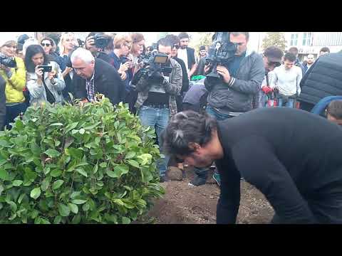 კახა კალაძე - გამწვანების აქცია