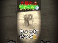 【ボス猿🦧】には要注意⚠️ボス猿かは襲われてからしか気付けない😆