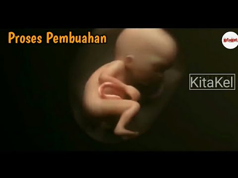 Video: Metode Dan Waktu Pembuahan