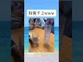 めっちゃ練習したんやろなぁ #shorts
