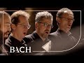 Bach - Motet Lobet den Herrn BWV 230 - Prégardien | Netherlands Bach Society
