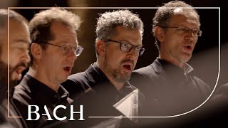 Bach - Motet Lobet den Herrn BWV 230 - Prégardien | Netherlands Bach Society