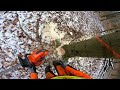 Laubholzernte mit Husqvarna 572, Fäustel und Keil #husqvarna #chainsaw #forestry #wood