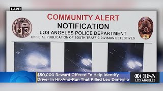 $50,000 Reward Offered To Help Identify Driver In Hit-And-Run That Killed Leo Dimeglio
