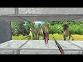【Take 7】Survive in the grasslands with dinosaurs. FPS perspective! | Animal Revolt Battle Simulator