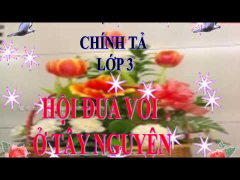 chính tả: Hội đua voi ở Tây Nguyên - Tiếng việt lớp 3