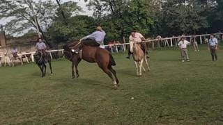 JINETEADA en Agrupación Tradicionalista PASO DEL REY
