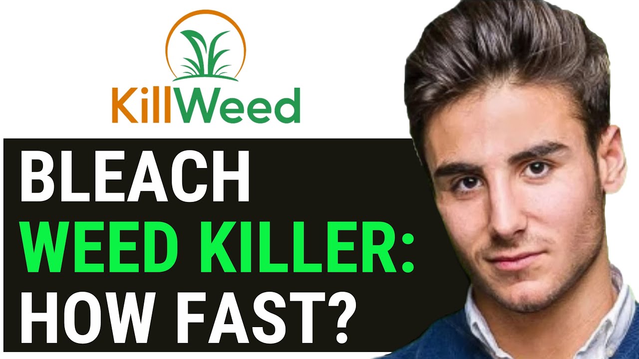 UPDATED 2024! How long does it take for bleach to kill weeds - YouTube
