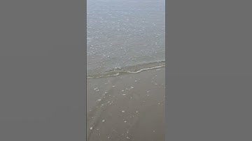 Take a break from doomscrolling and watch the waves roll in! #iamapayne #ocean #shorts