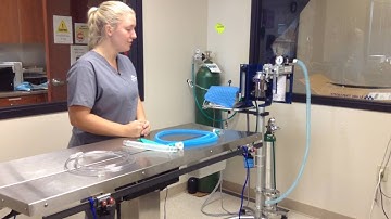 How to preform a Leak Check on a Non-Rebreathing System - Julie Ericson