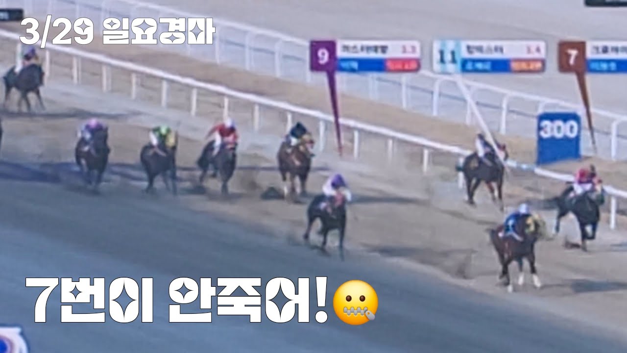 생각했다 뺐더니 버티네~쩝