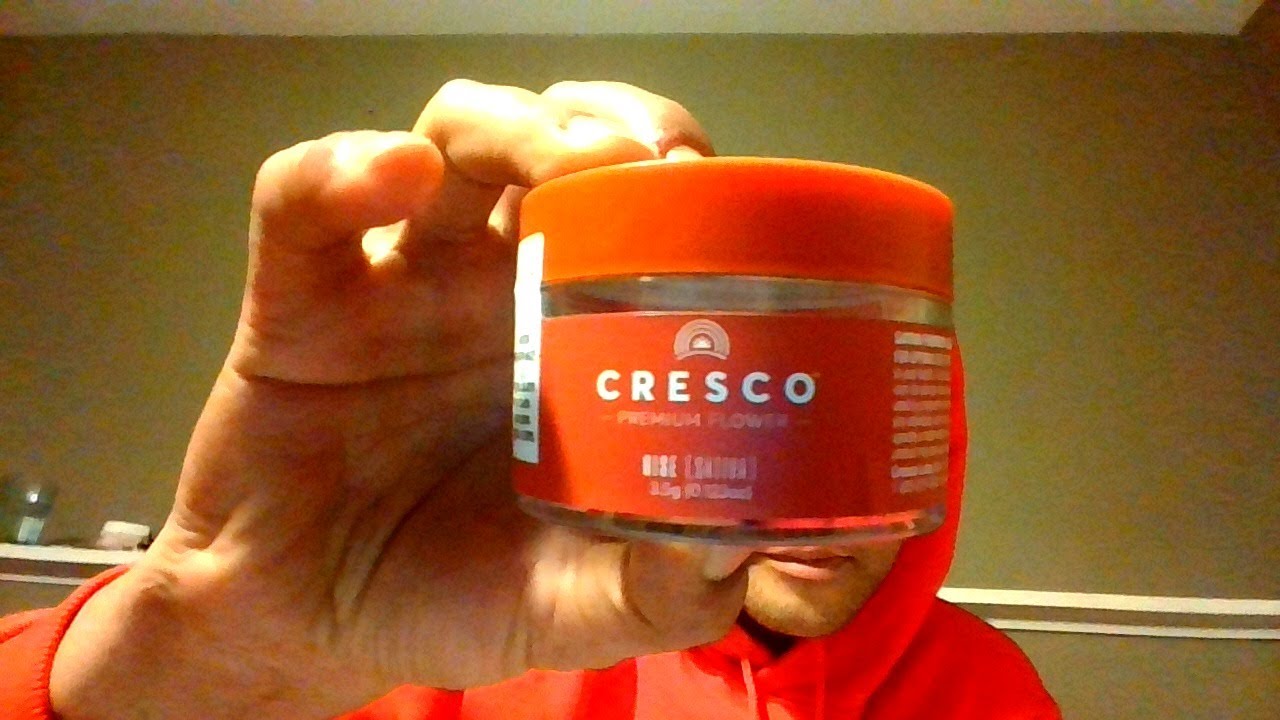 Strain Review By MOTOR BREATH HAZE By CRESCO (CHICAGOLAND) YouTube