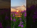 morning friend🌅 beautiful sunrise#shorts