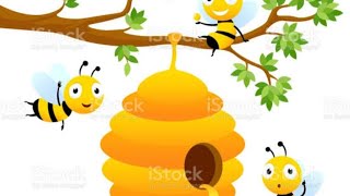 how to make Honey Bee Hive(Aksow galattas)🍯🐝