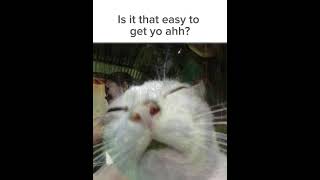 Squint meme  😭