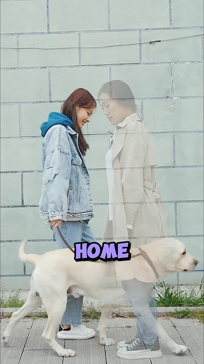 Bruno finally has another owner! 🥹🥰