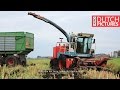 Modderen in de mais met Mengele SF6600 | Stuck in the mud | Mais hakselen | Chopping maize