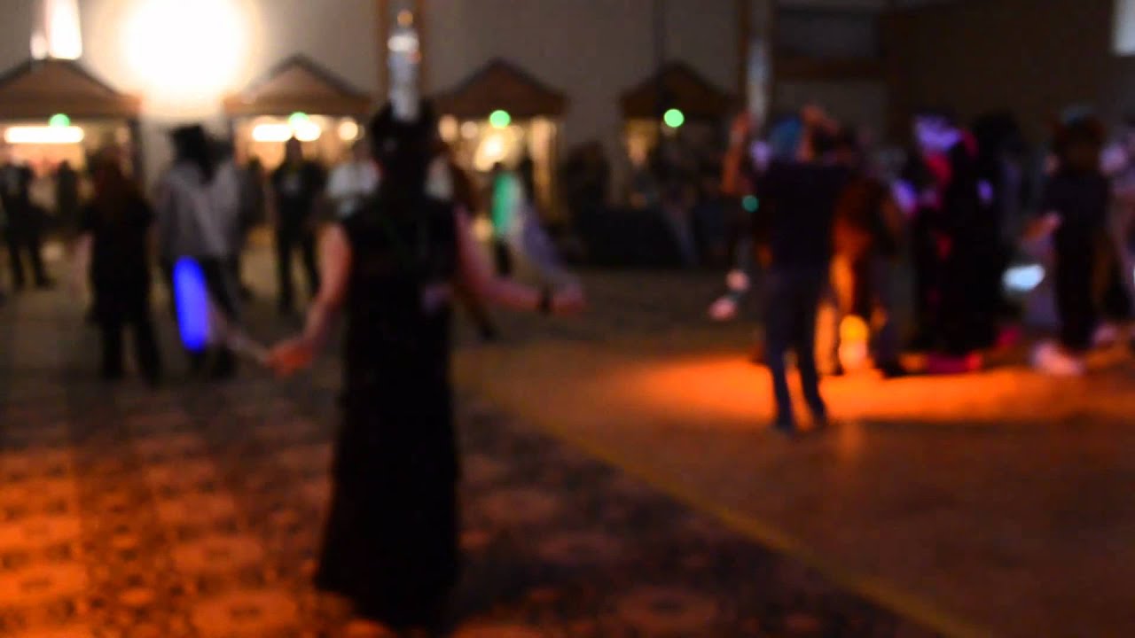 Eurofurence 17 fursuit friendly dance pt1 HD