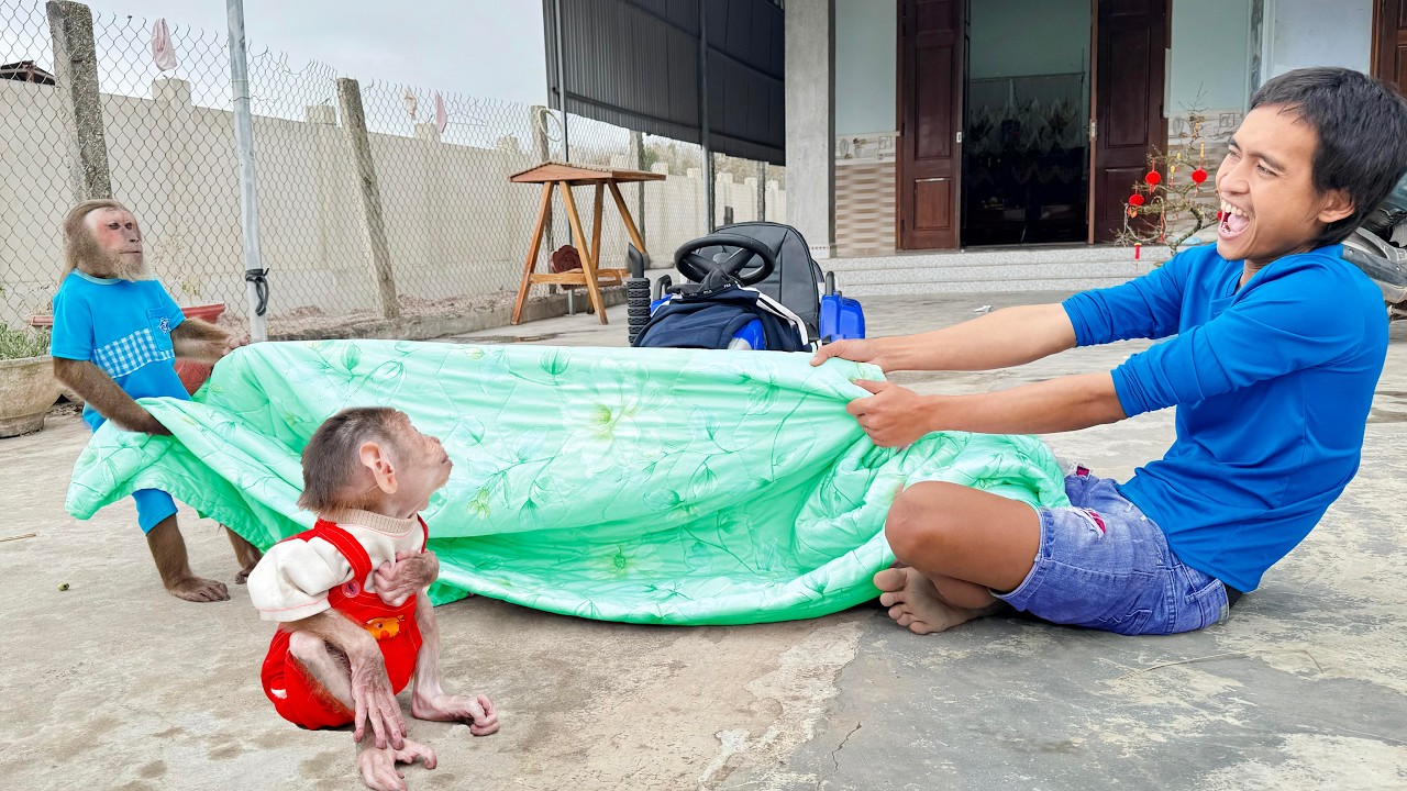 CUTIS & Buem Protect  Supercar in Funniest Way… and Everyone Loses It 😂