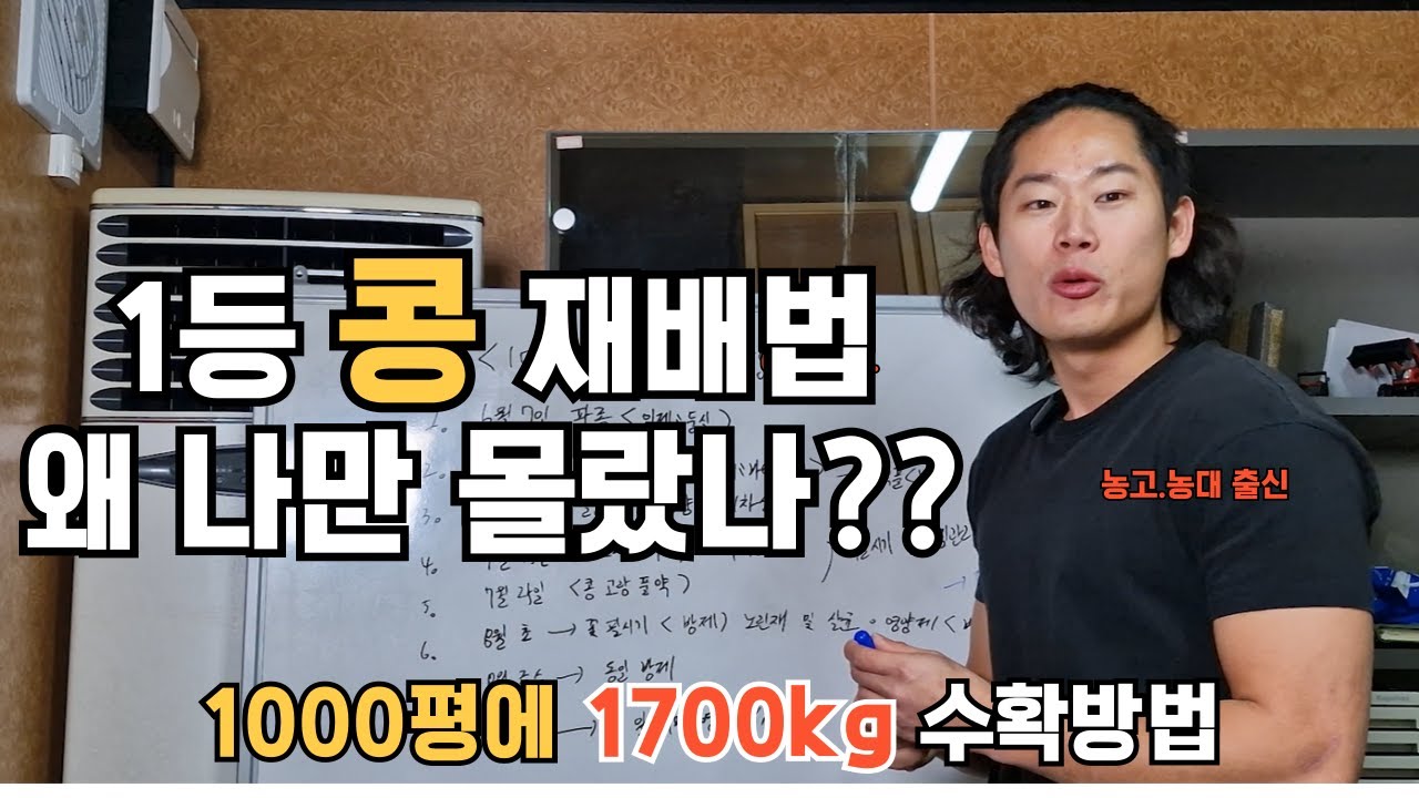 [농대출신] 콩 다수확 비결 공유 [청년농부]  #콩재배 #콩병충해 #콩다수확