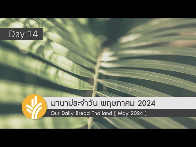 มานาประจำวัน 14 May 2024 ความชื่นชมยินดีกับสติปัญญา class=