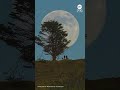 Timelapse: Stunning moonrise over Pacifica, California