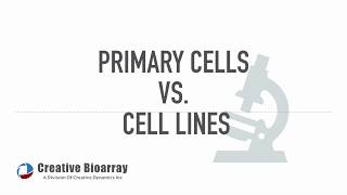 primary cells