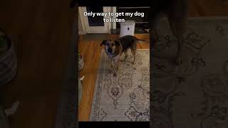 Memes I found on Discord pt.vid #memes