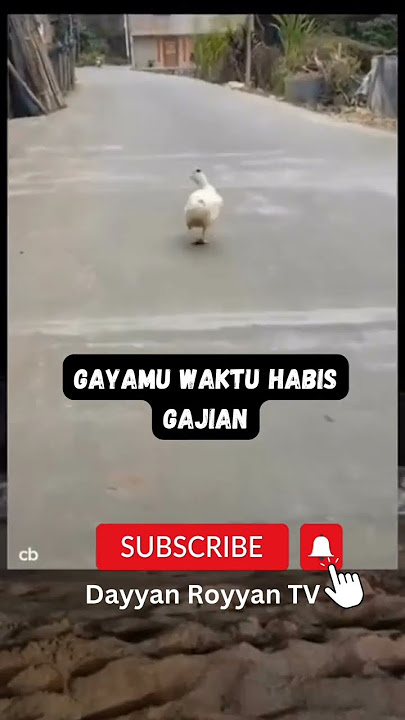 gayamu waktu habis gajian #lucu #viral #bebek #hewan #gajian