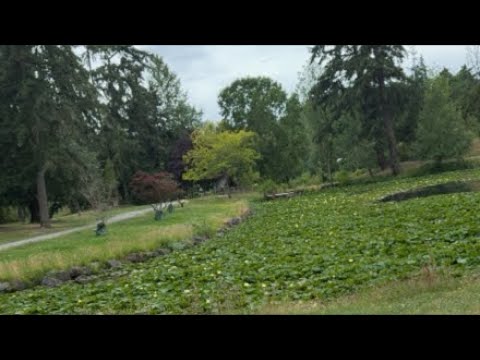 Winnie SeattleUSA68 is walking while it’s cooler. 🚶‍♀️‍➡️🚶‍♀️‍➡️#tpoc #trending #viral #exercise
