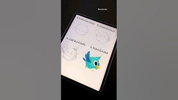 Bird Animation in Procreate #digital #drawing #procreate #nasa #shortvideo #shortsvideo #digitalart