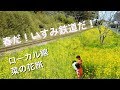 いすみ鉄道『絶景の菜の花めぐり」ドローン 空撮！4k drone japan