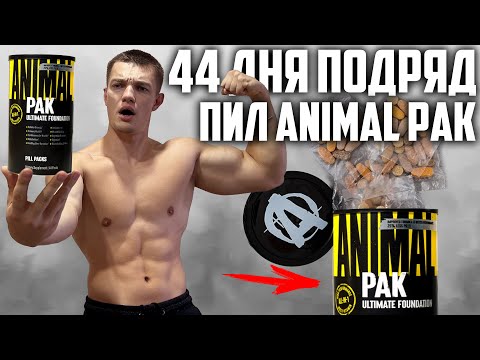 44 ДНЯ ПОДРЯД