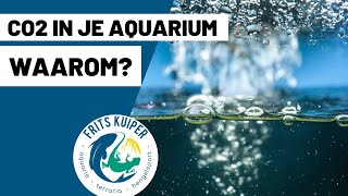 Download Lagu co2 in je aquarium MP3 Download Lagu co2 in je aquarium MP3