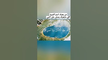 تلاوة لا توصف مطلوب اسم هذا الشيخ سورة التين حالات واتس اب استوري انستا