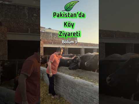 Pakistan’da Köy Ziyareti | Bölüm 3