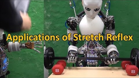 Applications of Stretch Reflex for Musculoskeletal Humanoids (IROS 2020)