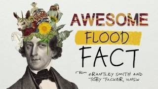 Why you should never drive through flood waters
