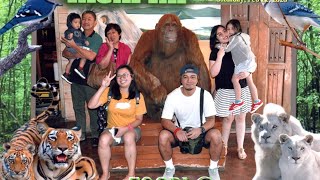 Animal Adventure With Raphie And Deon At Zoori Tatay